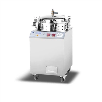 Caldaia sterilizzata a pressione inversa ZM-100